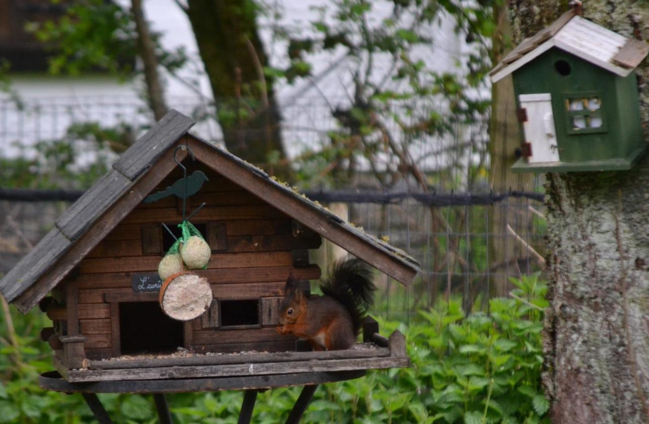 Hotel A La Ferme Du Pere Eugene Malmedy Exteriér fotografie